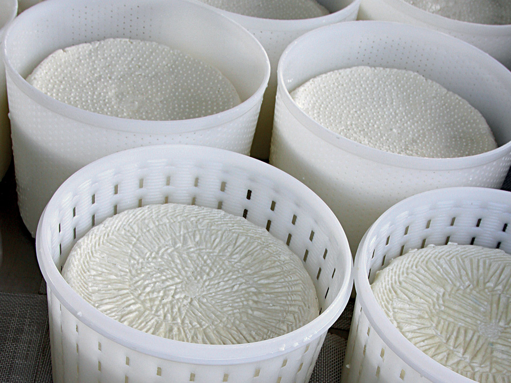 Plant for ricotta production and packaging